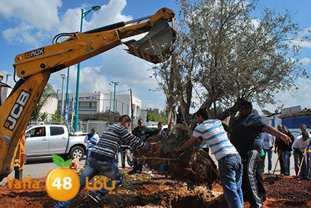 a3malteybeortlud (22).jpg